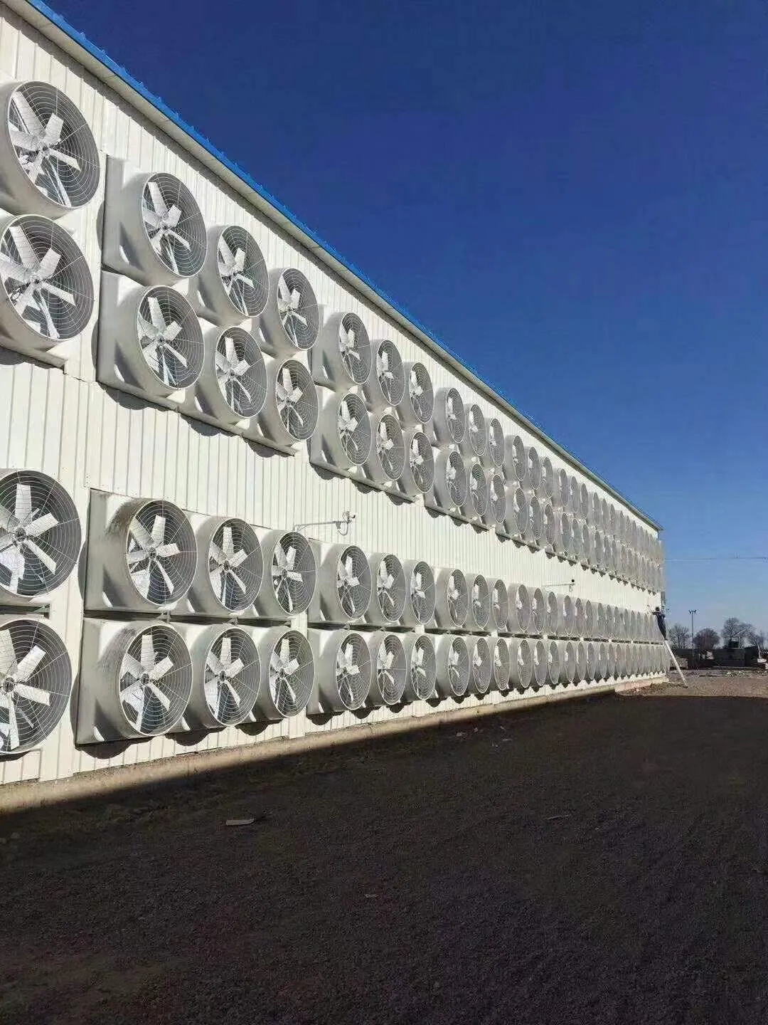a wall of fiberglass exhaust fans a wall of fiberglass exhaust fans