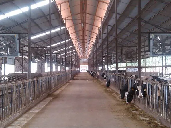 poutry farm ventilation solution poutry farm ventilation solution