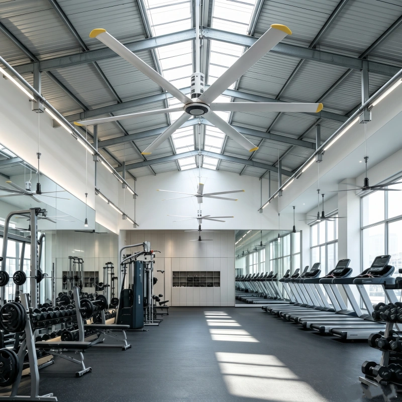 HVLS ceiling fan at a fitness center HVLS ceiling fan at a fitness center