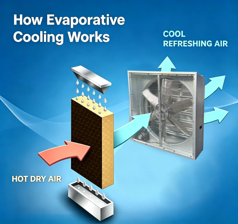 evaporative cooling pad + negative pressure exhaust fan working principle