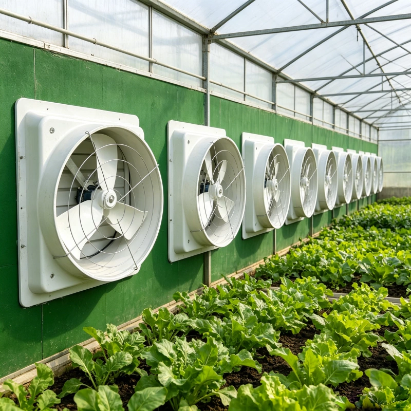greenhouse agriculture FRP fan