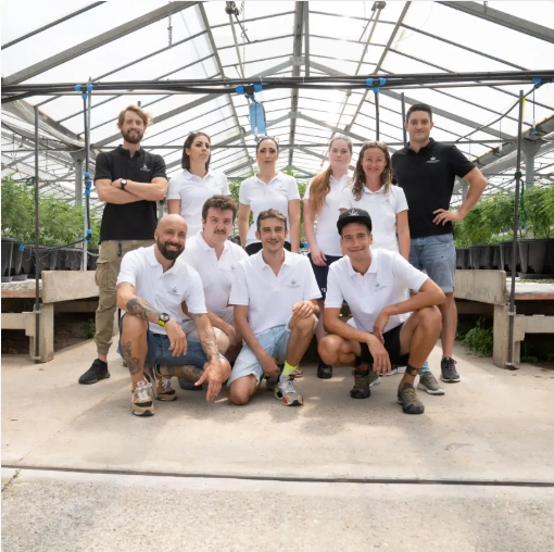 greenhouse and its team greenhouse and its team