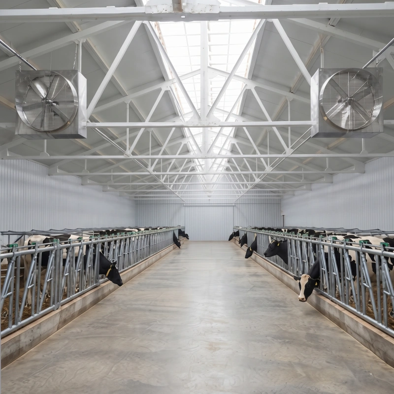 hanging fans for livestock facility hanging fan for poultry farm