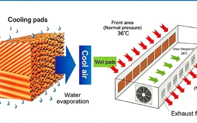 How Cooling-Pad Size Affects Evaporative Cooling